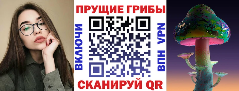 где купить наркоту  Лениногорск  Псилоцибиновые грибы Psilocybine cubensis 